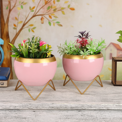 Metal Planters (Set of 2)